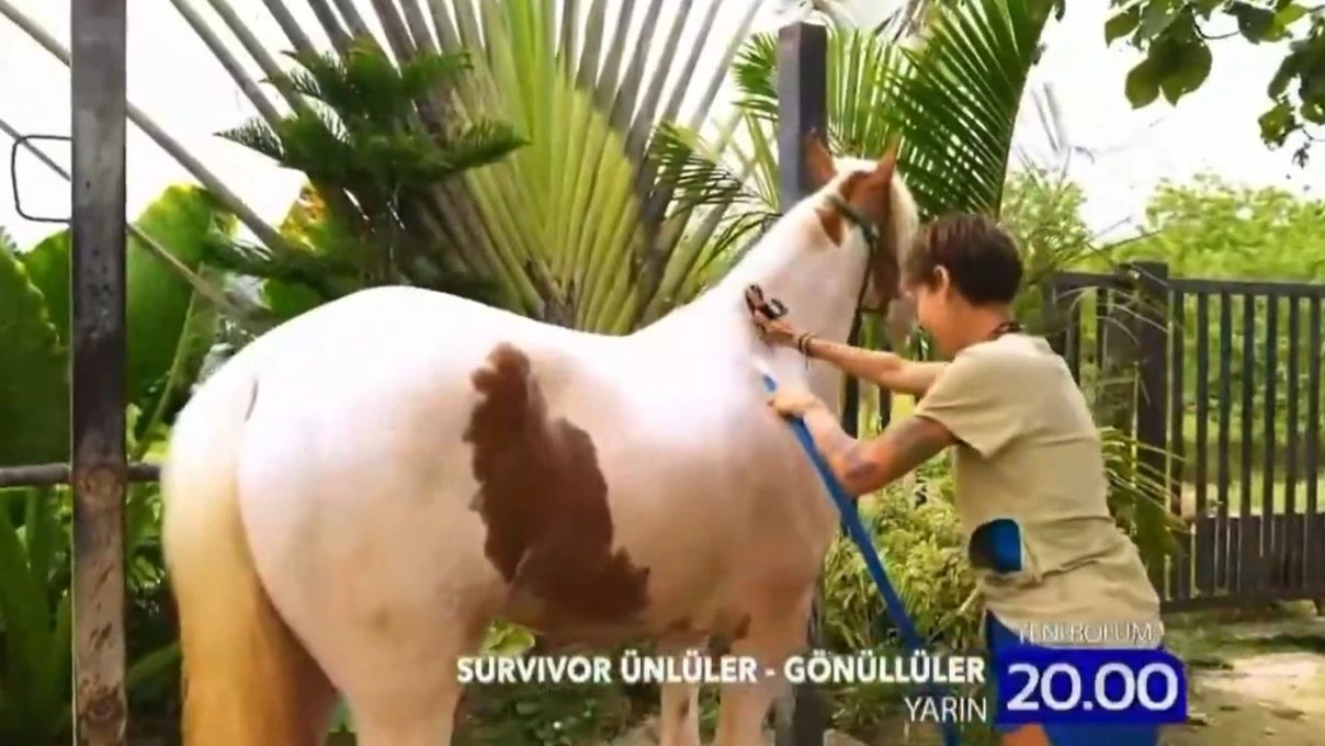 survivor 2026 lina saclarini at sampuani yikadi