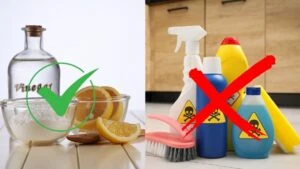 Temizlik sırasında kimyasal mı, limon sirke karbonat mı?