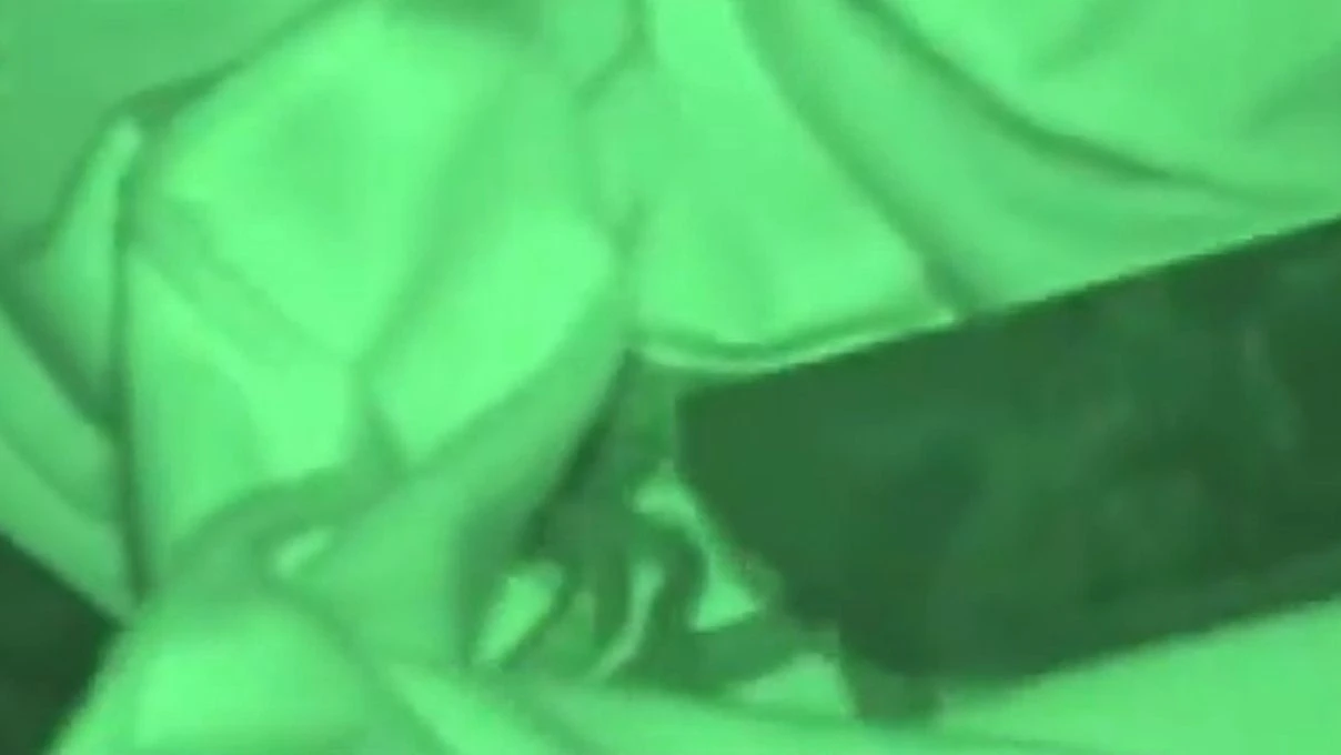 unluler adasinda yilan cikti