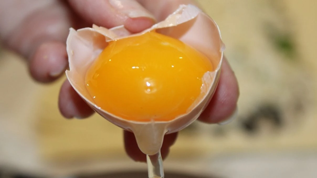 Kahvaltıda ekmeği unutturan yumurta tarifi! Keten tohumu çörek otu Urfa isotu