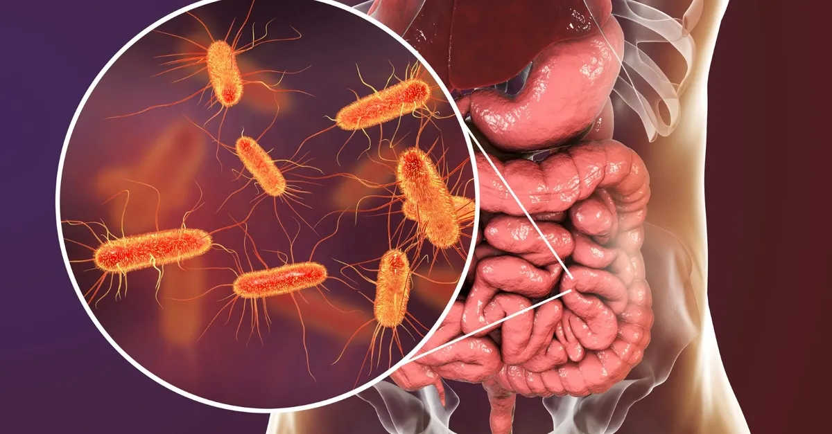 bağırsak paraziti nasıl geçer