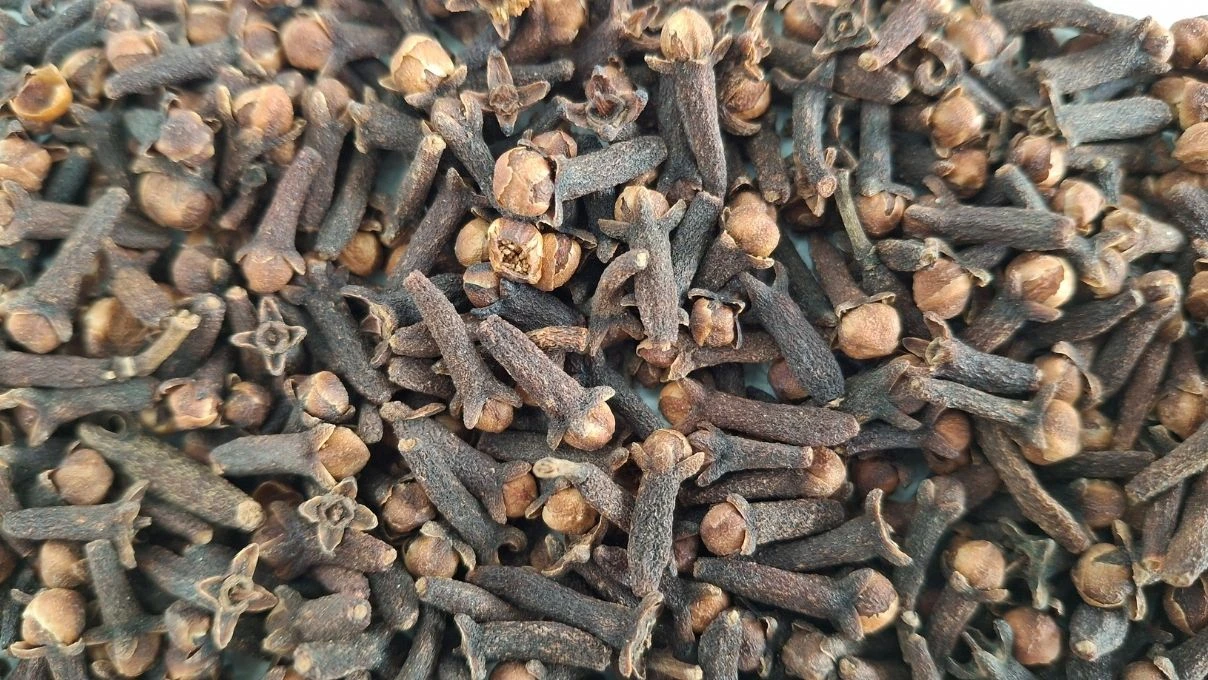 Cildin yeni dostu! Sivilcelerden lekelere her derde deva 