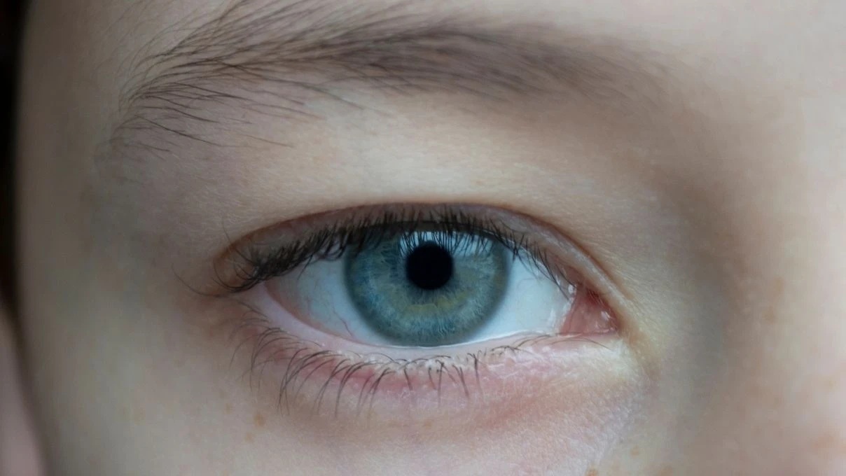 Kapatıcıları çöpe atın! Kendi göz altı aydınlatıcınızı yapın