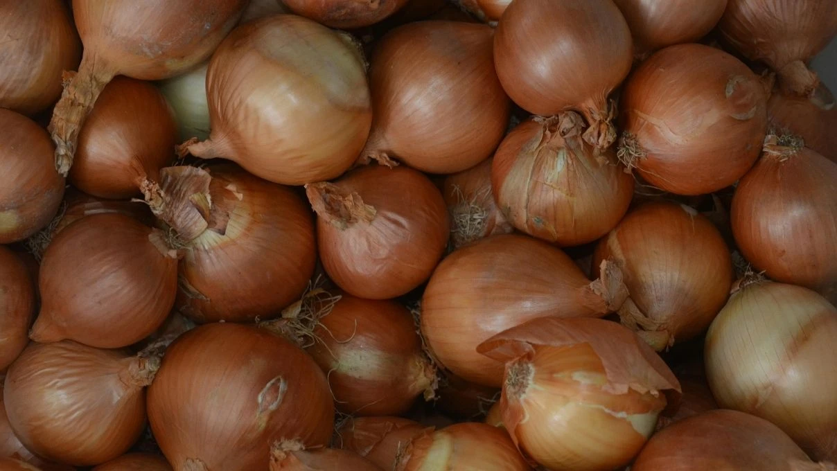 Soğan sumak karışımı sadece bir meze değil! Doğurganlığı artıran şifa