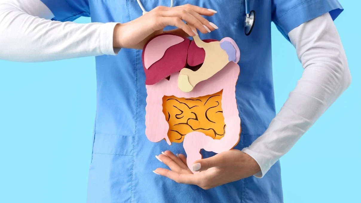 İbni Sina’nın kabızlık için altın kuralı! Cilt gibi bağırsakları da yumuşatın 