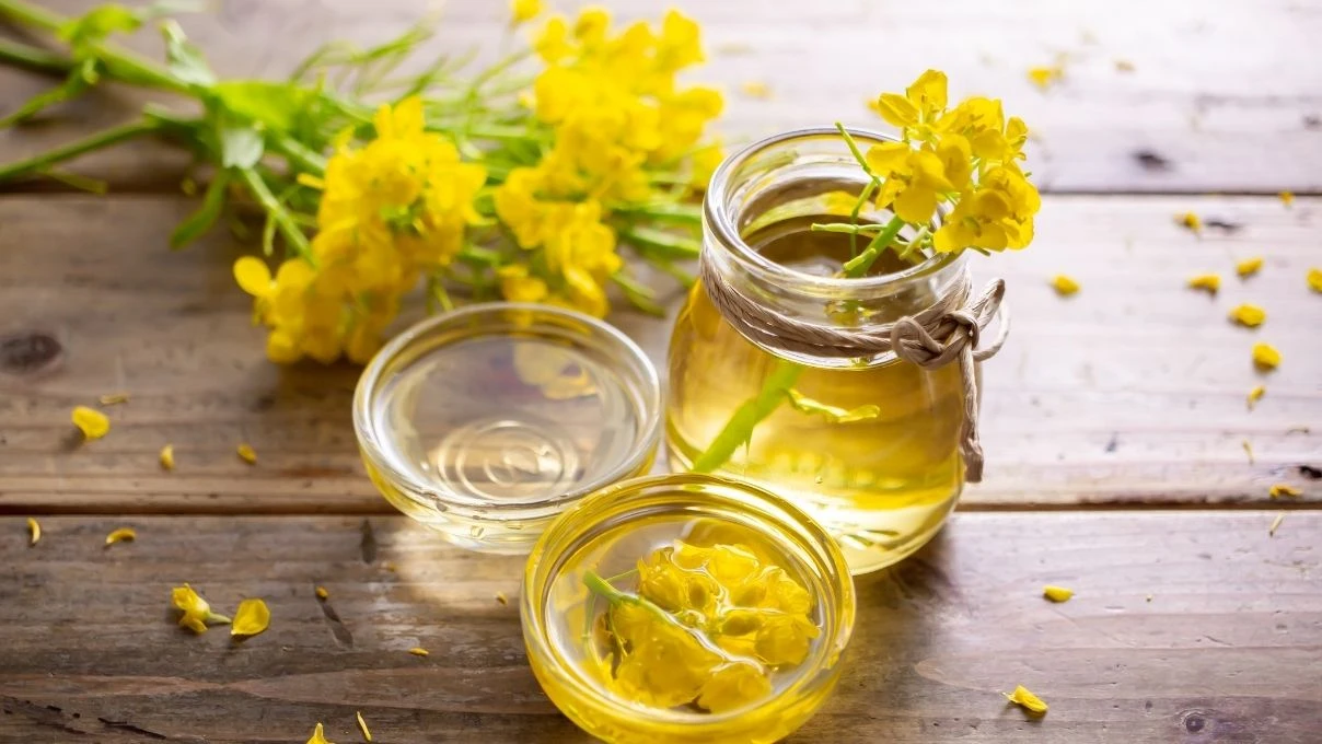 “En zararsız yağ hangisi?” Uzmanlar net cevap verdi!