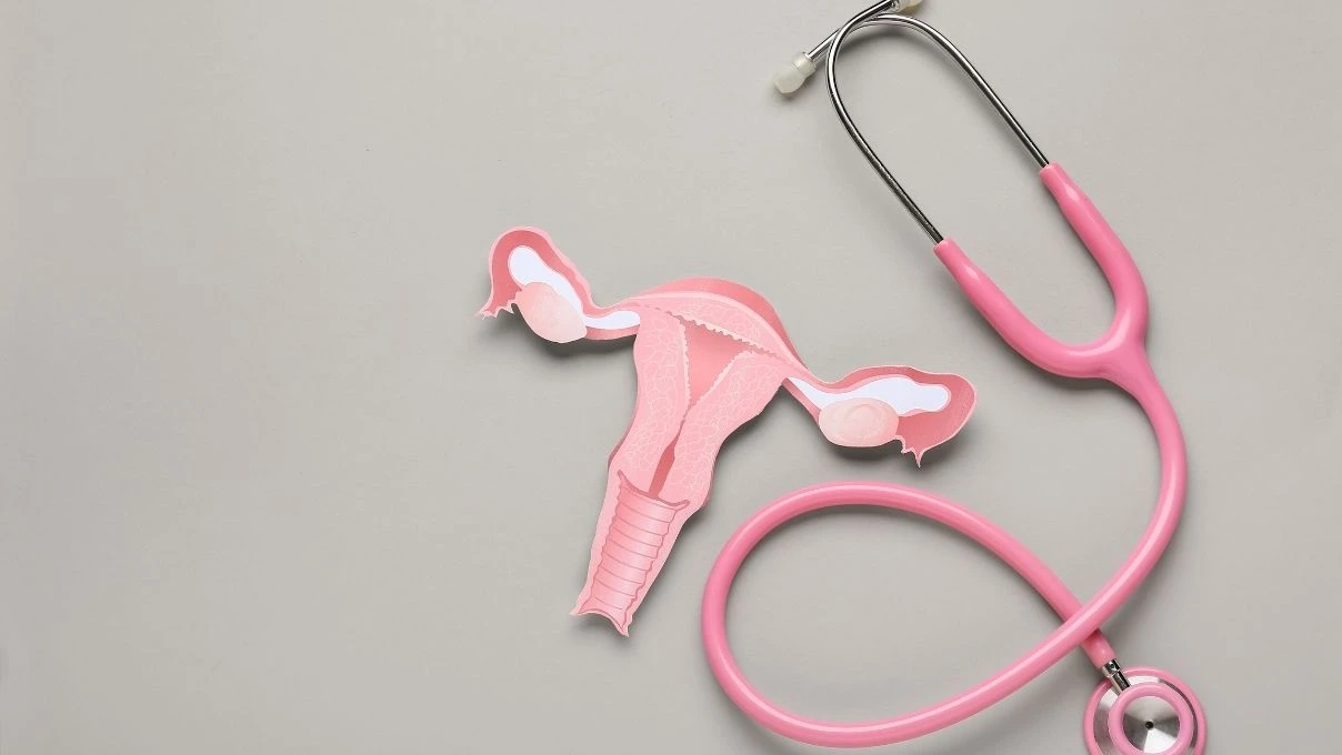 Erken dönem menopozun şifası Antik çağlardan geliyor! Kadınlığı güçlendiren karışım 11 Erken dönem menopozun şifası Antik çağlardan geliyor! Kadınlığı güçlendiren karışım