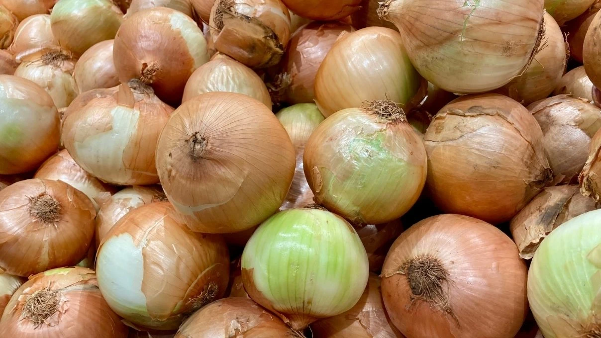 İftar sofralarının yeni lezzeti! Sütlü soğan kavurması tarifi 10 İftar sofralarının yeni lezzeti! Sütlü soğan kavurması tarifi