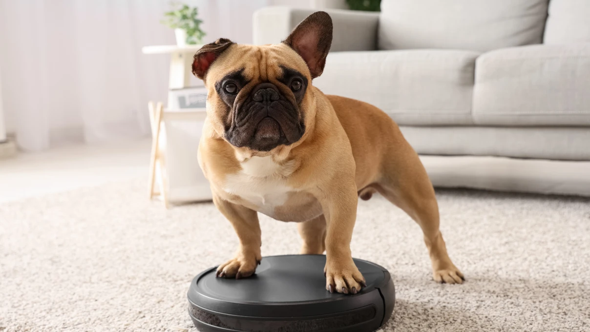 Asli 2026 03 10T143449.674