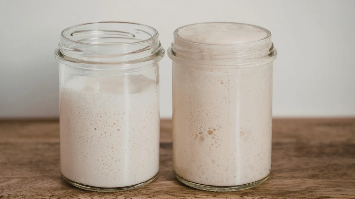 Yoğurt mayasını evde yapın! Sıfırdan yoğurt mayasını nasıl yapılır? 7 Asli 2026 03 16T102857.500