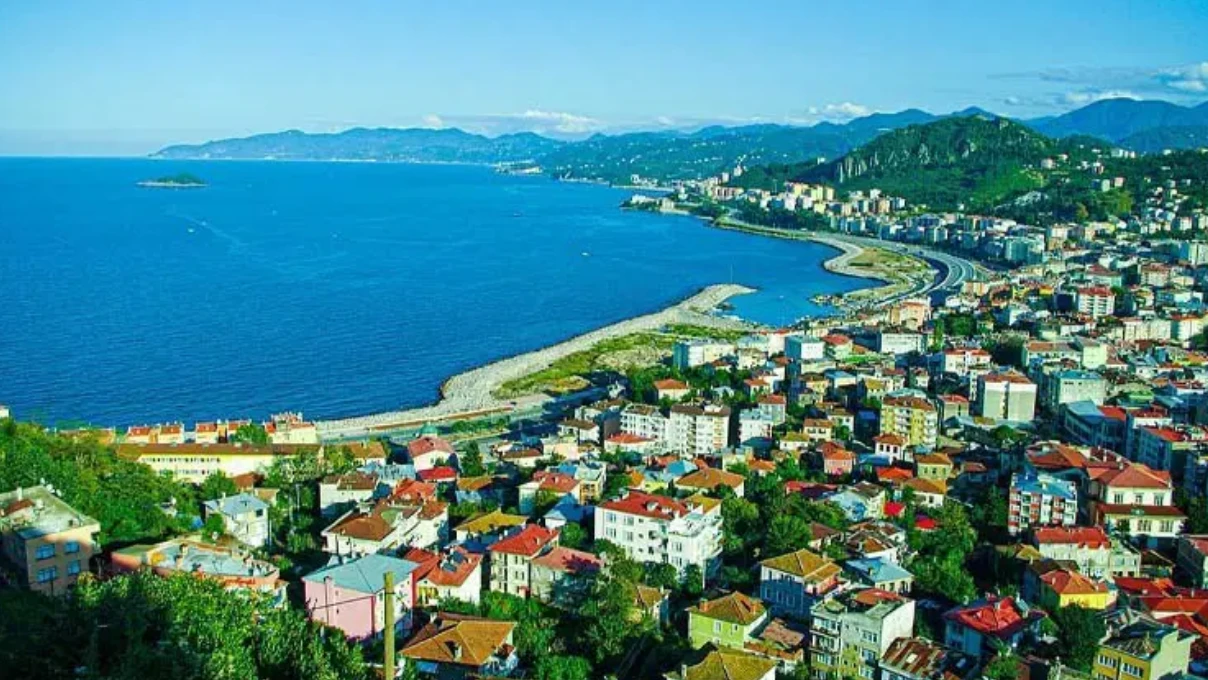 Asli 2026 03 17T093439.876