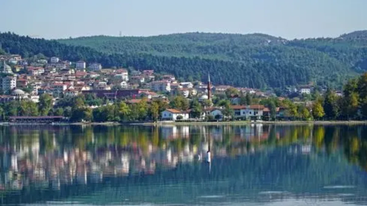 Asli 2026 03 17T093452.178