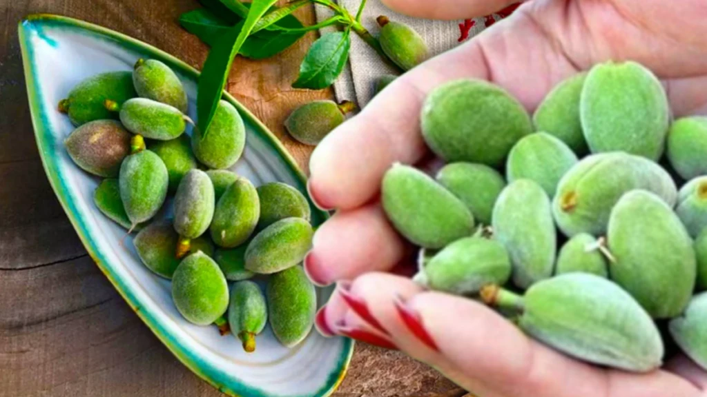 Asli 2026 03 31T155520.936