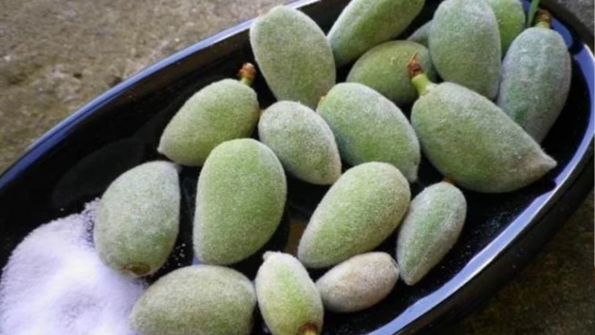 Tezgahlardaki yerini almaya başladı! E vitamini deposu çağla, cep yakmaya başladı 5 Asli 2026 03 31T155549.470