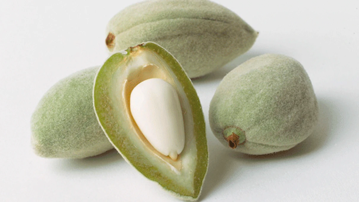 Tezgahlardaki yerini almaya başladı! E vitamini deposu çağla, cep yakmaya başladı 8 Asli 2026 03 31T155708.684