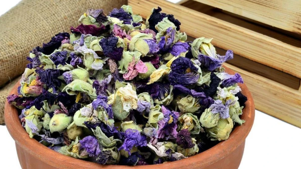 Kadınların tüm vücudunu temizleyen çay! Sarayları vazgeçilmezi (hatmi çiçeği) 7 Asli 78 1