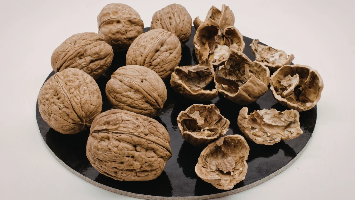 Tek seferde koltuk ve halılardaki lekeleri çıkartın! Anadolu kadınlarının ceviz kabuğu sırrı 7 Asli 91 1