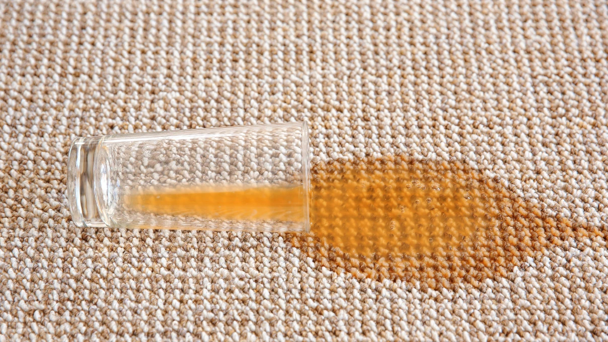 Tek seferde koltuk ve halılardaki lekeleri çıkartın! Anadolu kadınlarının ceviz kabuğu sırrı 4 Asli 94 1