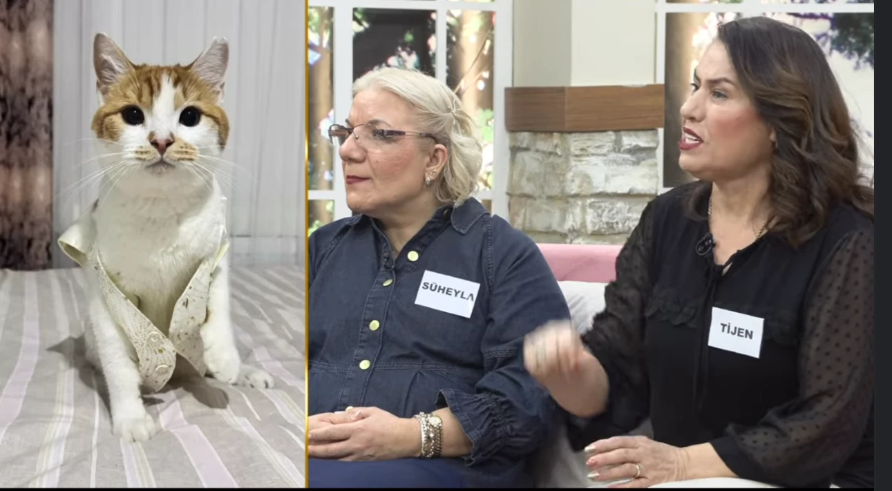 Ekran goruntusu 2026 03 04 163928