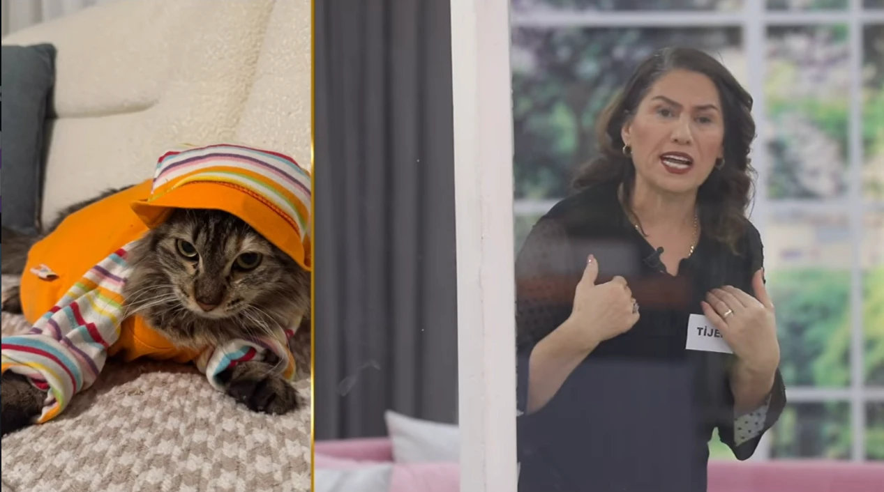 Ekran goruntusu 2026 03 04 163949