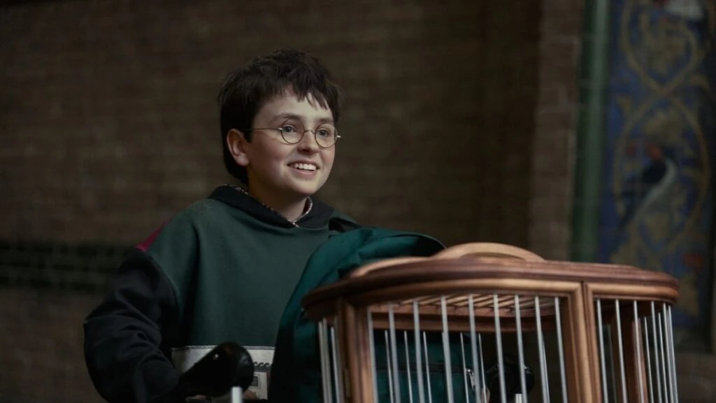 Harry Potter dizisi ne zaman çıkacak? Harry Potter dizisi konusu ne olacak?
