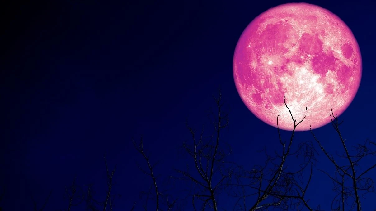 Pembe Ay 1 Nisan akşamı gökyüzünde yükselecek! Baharın en etkileyici gökyüzü olayı geliyor