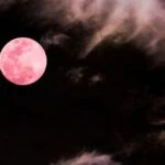 Pembe Ay 1 Nisan akşamı gökyüzünde yükselecek! Baharın en etkileyici gökyüzü olayı geliyor