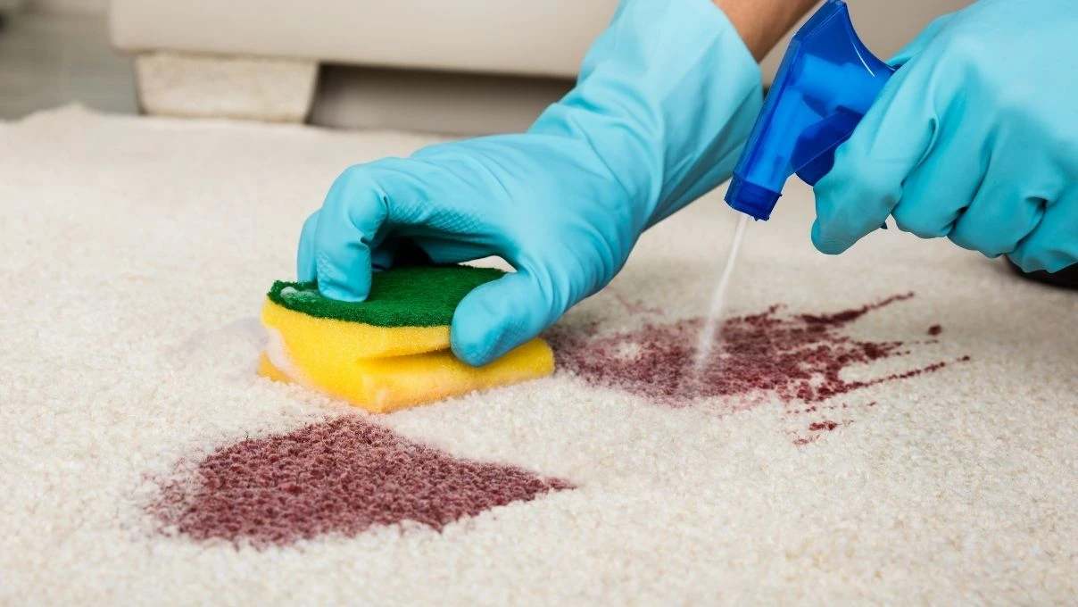 Halı yıkamaya tonlarca para vermeyin! Evde halıları yıkamadan da parlatabilirsiniz 9 Halı yıkamaya tonlarca para vermeyin! Evde halıları yıkamadan da parlatabilirsiniz