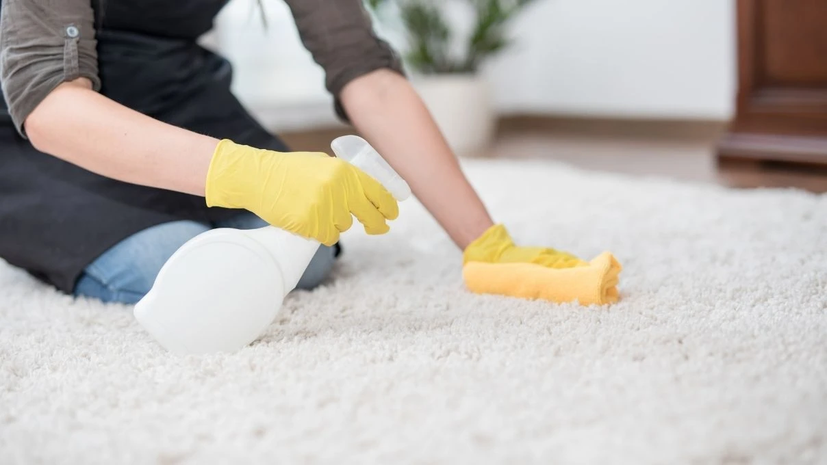 Halı yıkamaya tonlarca para vermeyin! Evde halıları yıkamadan da parlatabilirsiniz 10 Halı yıkamaya tonlarca para vermeyin! Evde halıları yıkamadan da parlatabilirsiniz