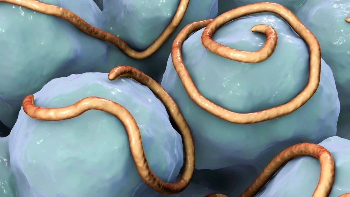 Çocuklarınızda bu 5 işaret varsa dikkat! 