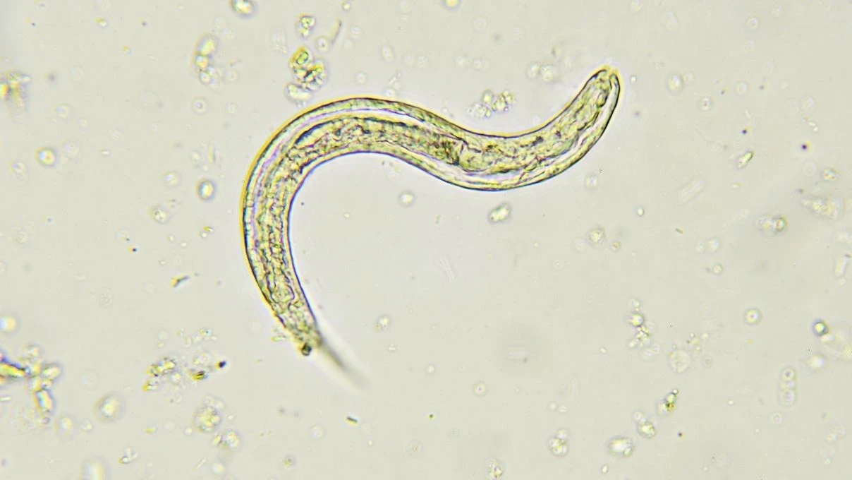 Çocuklarınızda bu 5 işaret varsa dikkat! 