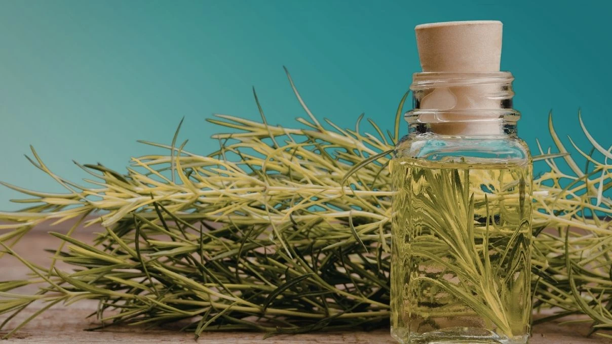 Oluk oluk dökülen saçlara son! Banyo yaparken şampuana ekleyin