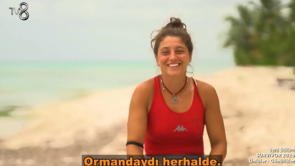 survivor 3