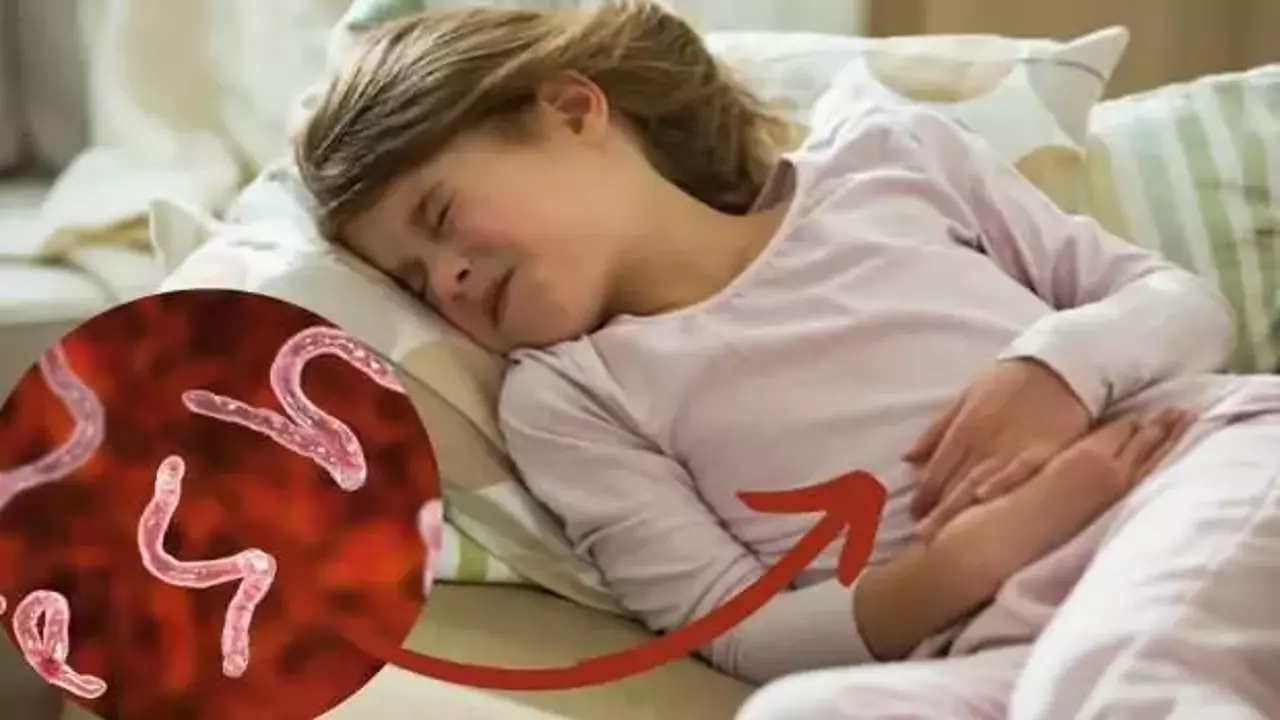 bağırsak paraziti neden olur