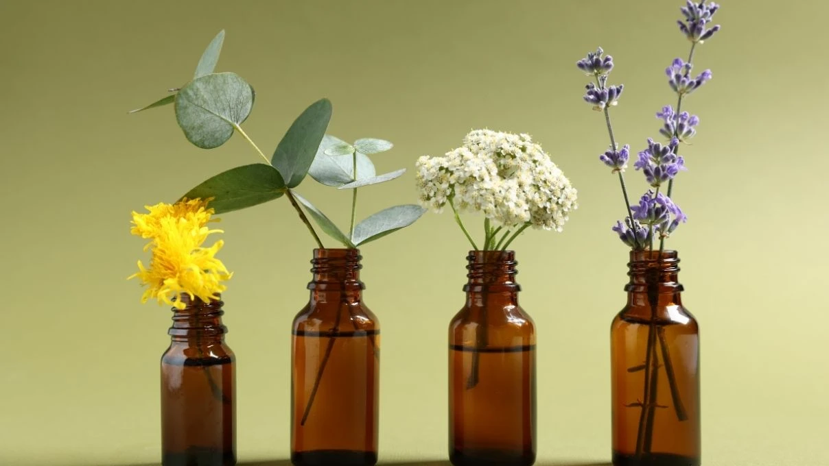 Akşam göbek deliğine sürün! Sabah yağ yakımını hızlandırın