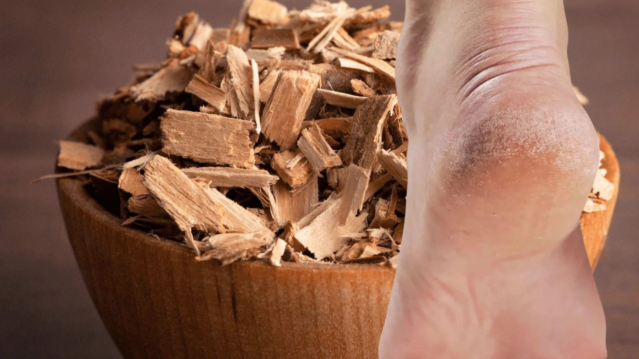 Adsiz tasarim 2026 04 22T143953.119 scaled