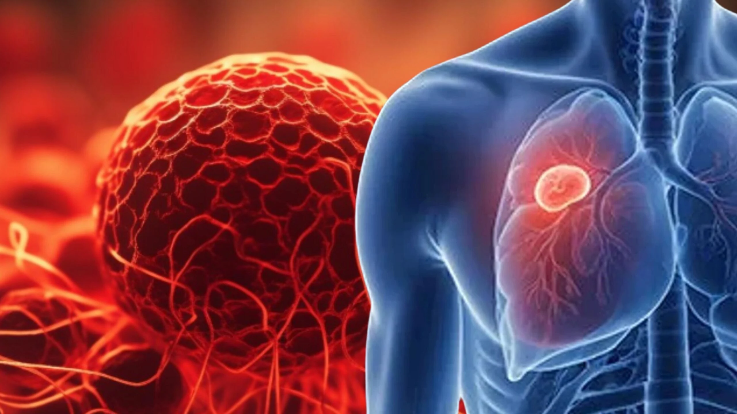 Adsiz tasarim 2026 04 30T110120.122 scaled