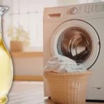 Asli 2026 04 19T112004.913