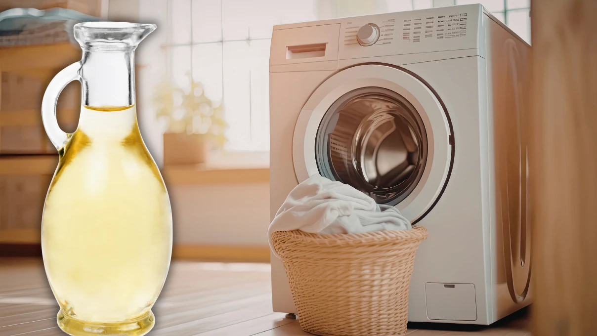 Asli 2026 04 19T112004.913