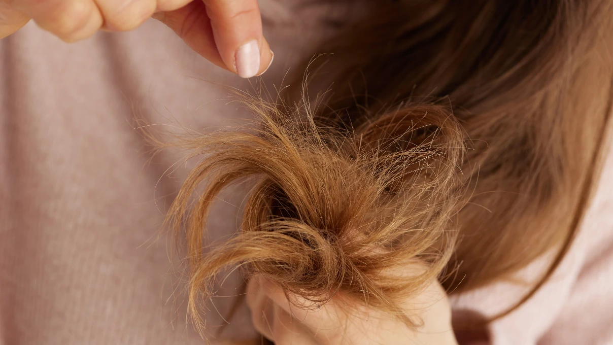 Asli 2026 04 19T120445.881