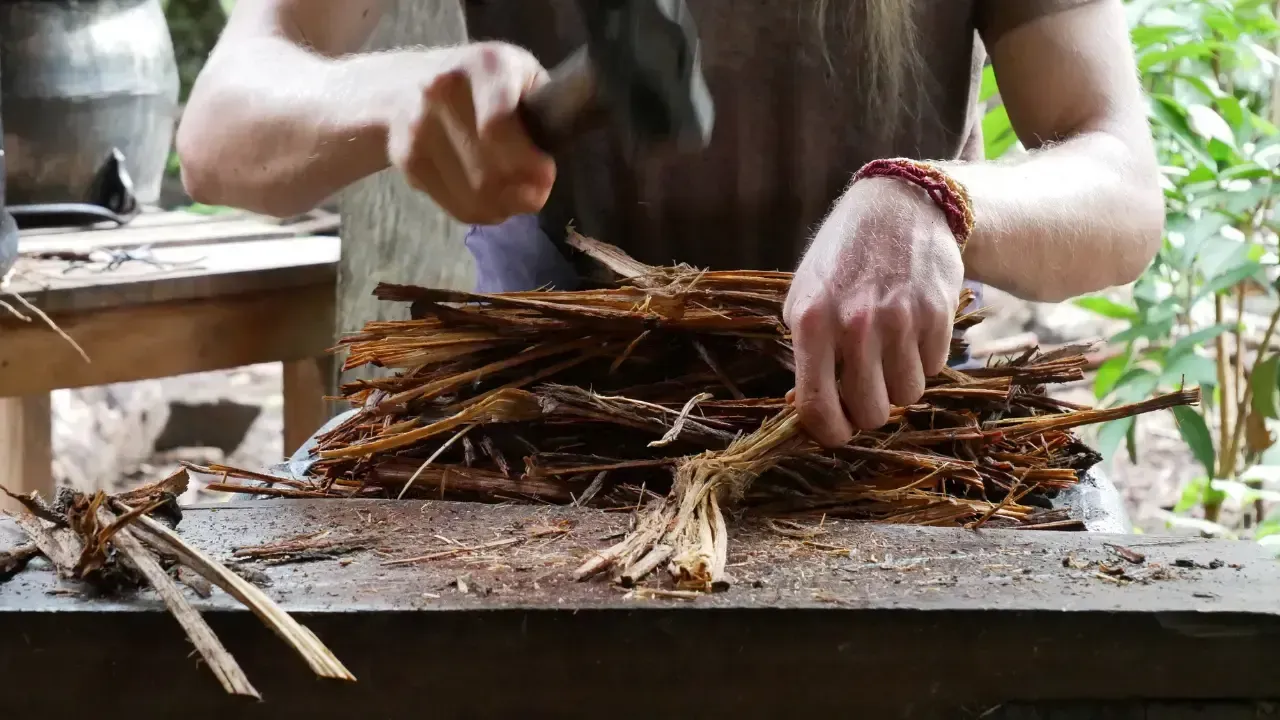 Ayahuasca çayı nedir? Ayahuasca çayı zararları nelerdir? Bilimsel olarak Ayahuasca çayının etkileri 7 Ayahuasca cayi 3