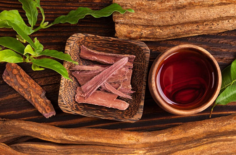 Ayahuasca çayı nedir? Ayahuasca çayı zararları nelerdir? Bilimsel olarak Ayahuasca çayının etkileri 10 Ayahuasca cayi 4