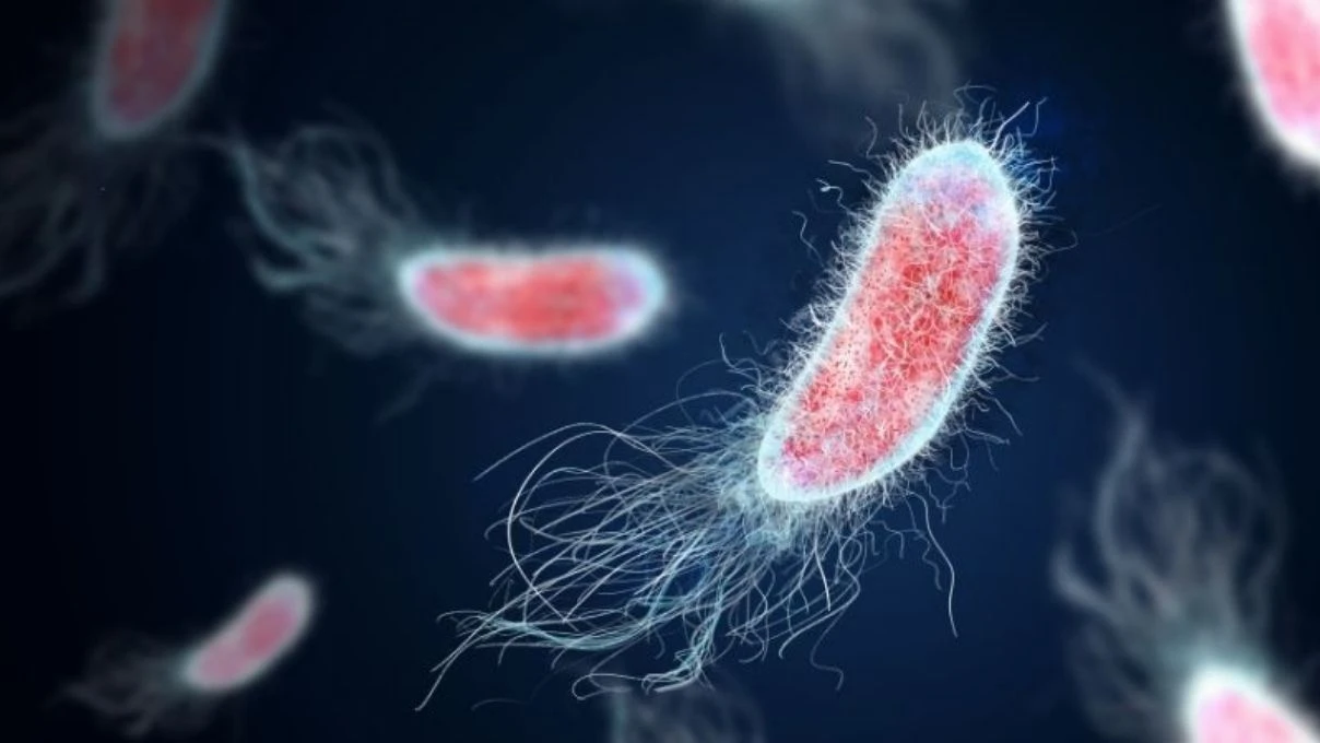 İbrahim Tatlıses’i hastanelik eden bakteriyel enfeksiyona dikkat! Bakteriyel enfeksiyon kimleri tehdit ediyor?