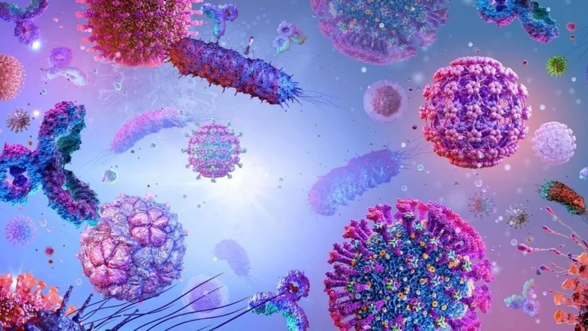 İbrahim Tatlıses’i hastanelik eden bakteriyel enfeksiyona dikkat! Bakteriyel enfeksiyon kimleri tehdit ediyor?