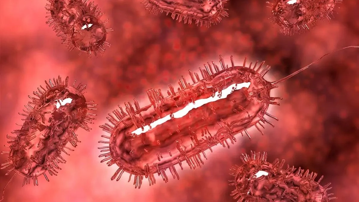 İbrahim Tatlıses’i hastanelik eden bakteriyel enfeksiyona dikkat! Bakteriyel enfeksiyon kimleri tehdit ediyor?