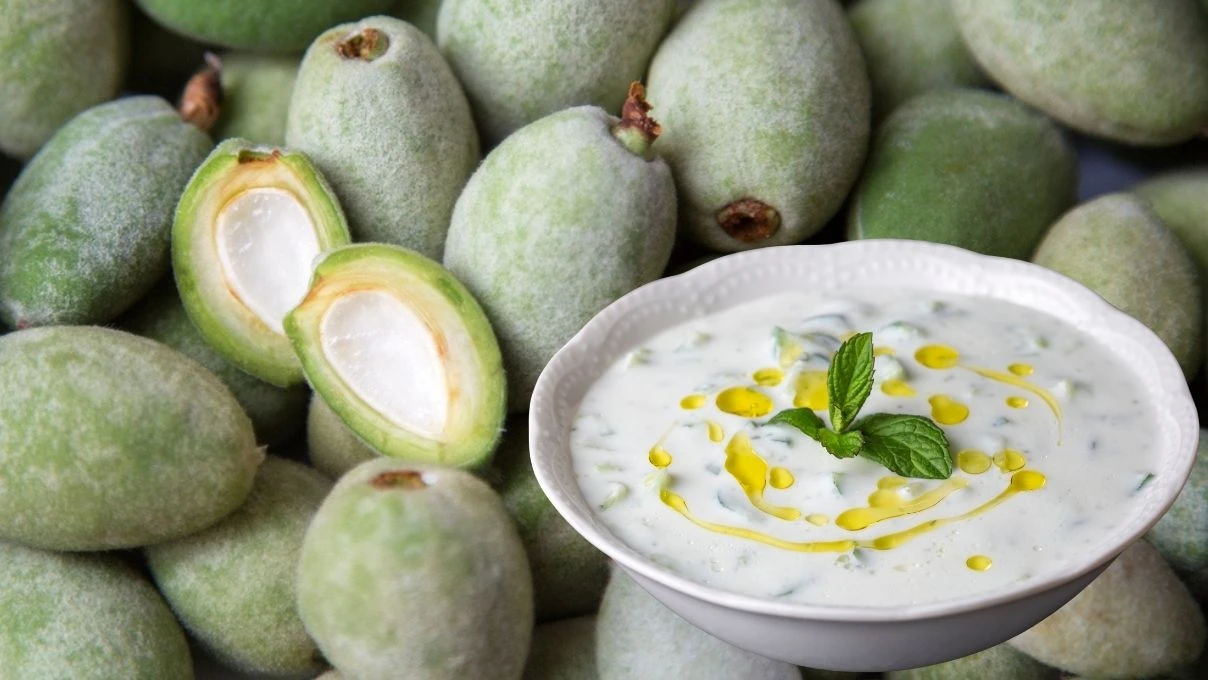 Çağla cacığı sofraların yeni yıldızı olacak! Tam mevsimiyken mutlaka deneyin