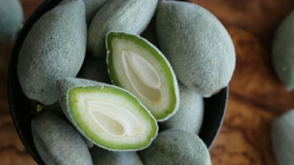 Çağla cacığı sofraların yeni yıldızı olacak! Tam mevsimiyken mutlaka deneyin 