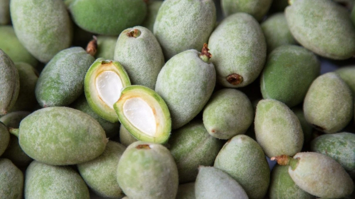 Çağla cacığı sofraların yeni yıldızı olacak! Tam mevsimiyken mutlaka deneyin 