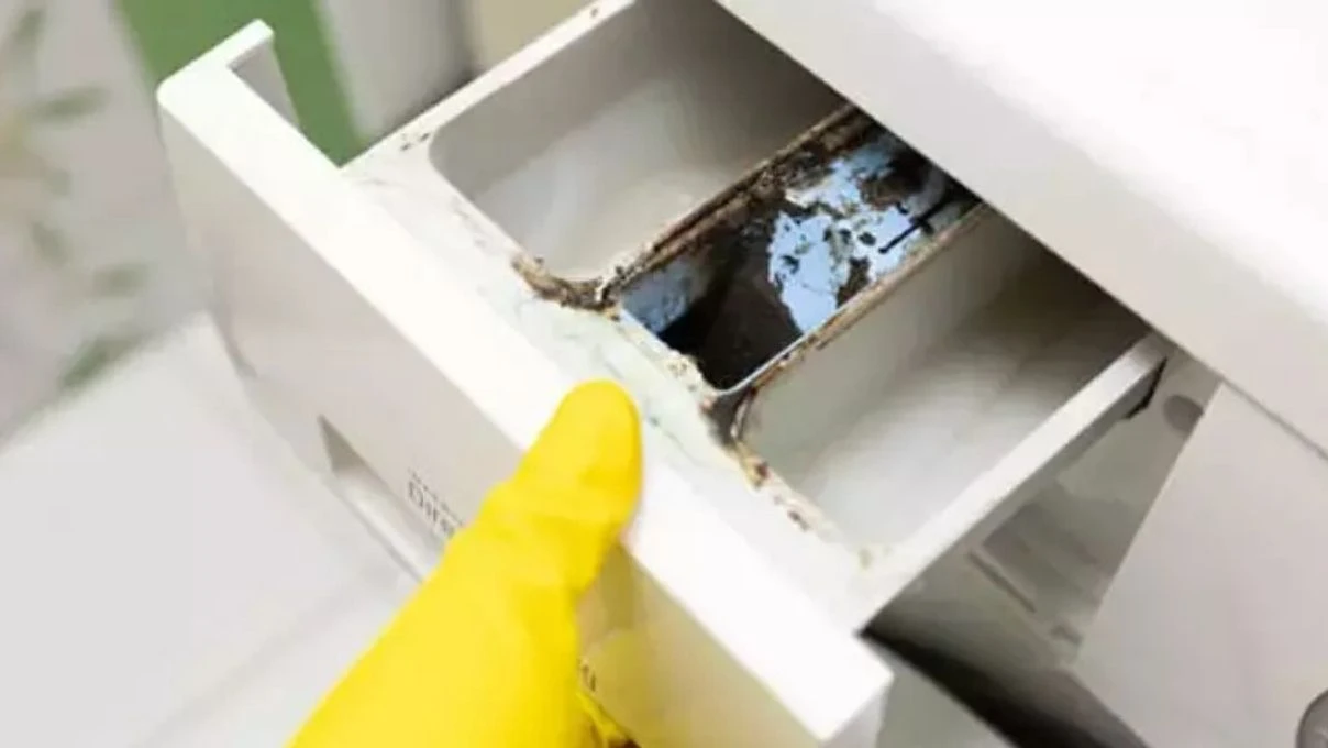 Çamaşır makinesinin deterjan gözü neden küflenir? İşte herkesi şoke eden gerçek