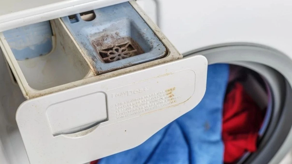 Çamaşır makinesinin deterjan gözü neden küflenir? İşte herkesi şoke eden gerçek
